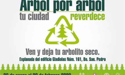 Le Dan Segunda Vida a Árbolitos de Navidad en Xochimilco