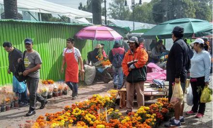 Xochimilco Se Queda Sin La Tradicional Vendimia Del Día De Muertos.