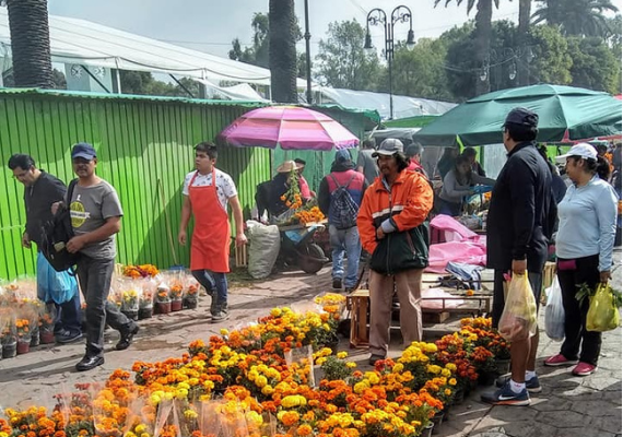 Xochimilco Se Queda Sin La Tradicional Vendimia Del Día De Muertos.