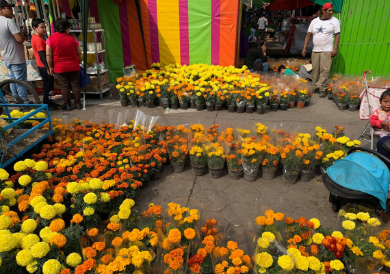Xochimilco Se Queda Sin La Tradicional Vendimia Del Día De Muertos Detodoen Megalopolis 03