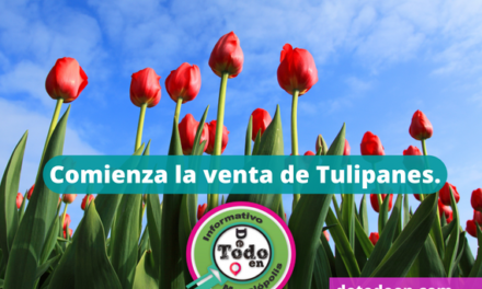 Comienza La Temporada de Tulipán en Suelo de Conservación.